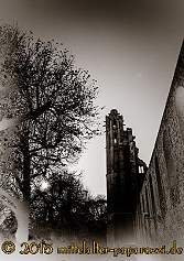 Ausfliug Klosterruine Limburg - Bad Dürkheim 2015