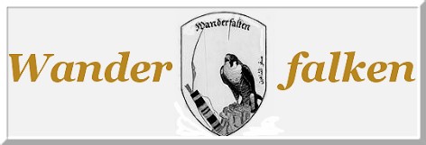 Die Wanderfalken