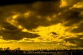 DSC06491