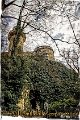295-Bearbeitet