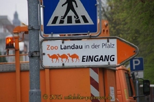 Landauer Zoobesuch
