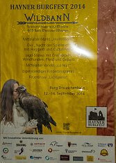 Hayner Burgfest - Flamma Caterva Feuershow