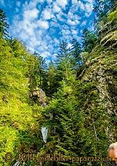 Tagesausflug in den Schwarzwald