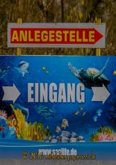 Sealife Speyer 2016