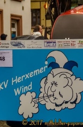 Faschingsumzug Herxheim 2017