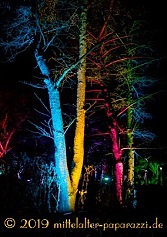Winterlichter Luisenpark Mannheim 2019